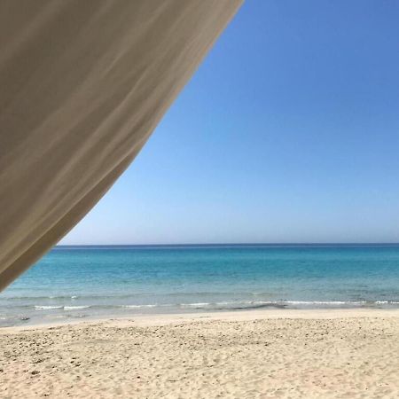 Gallipoli Mancaversa Futura Vacanza Andrea Marina di Mancaversa Eksteriør billede