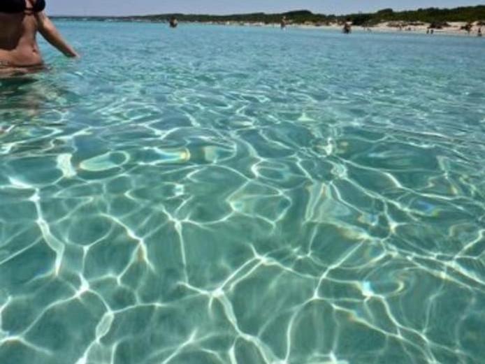 Gallipoli Mancaversa Futura Vacanza Andrea Marina di Mancaversa Eksteriør billede